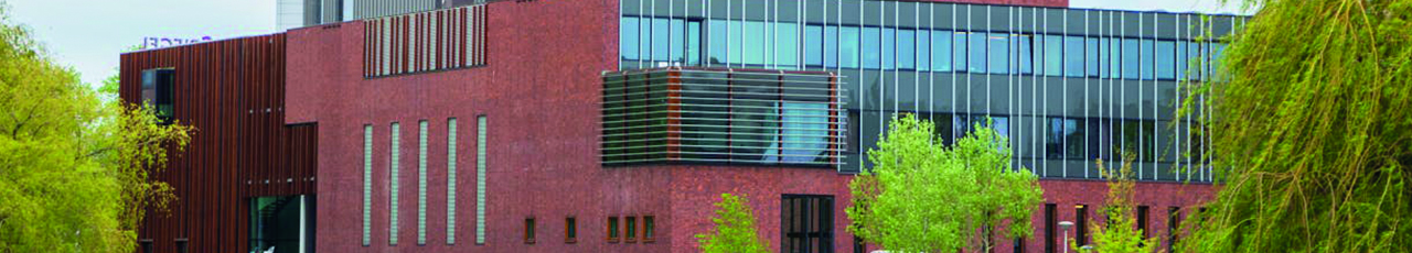 Zwolle 